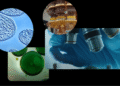 ScientificDiscovery SS 1920x1080.width 1300 Toolz Guru 4 ways Google Research is using AI to advance scientific discovery