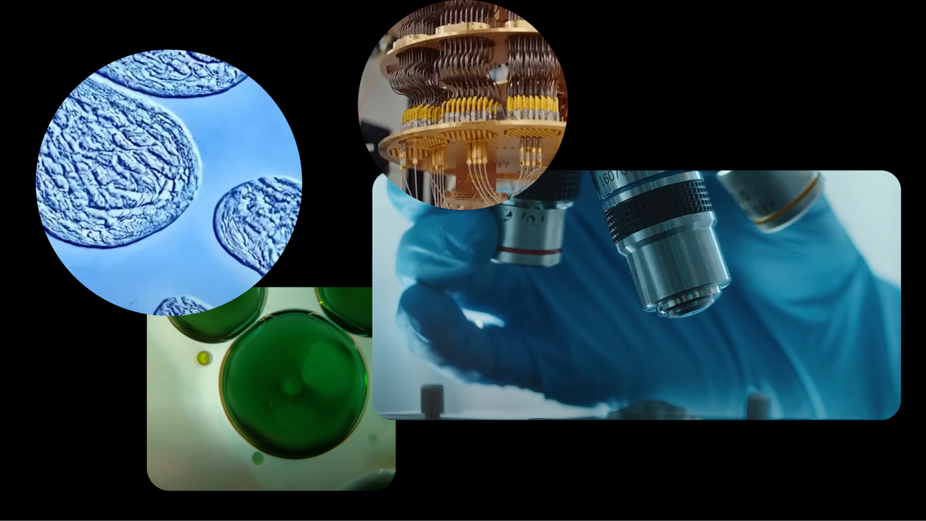 ScientificDiscovery SS 1920x1080.width 1300 Toolz Guru 4 ways Google Research is using AI to advance scientific discovery